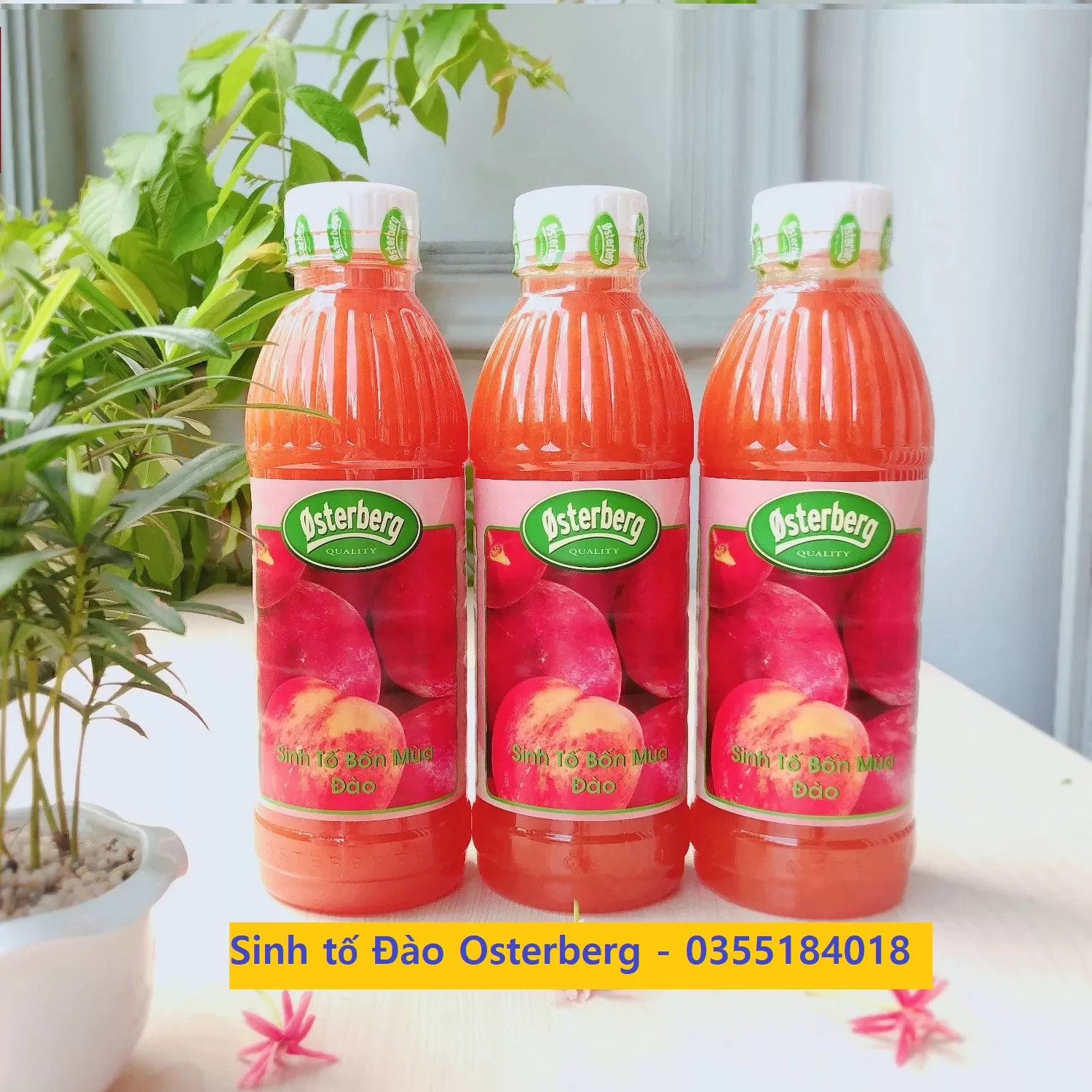 Sinh tố Đào Osterberg chai 1L