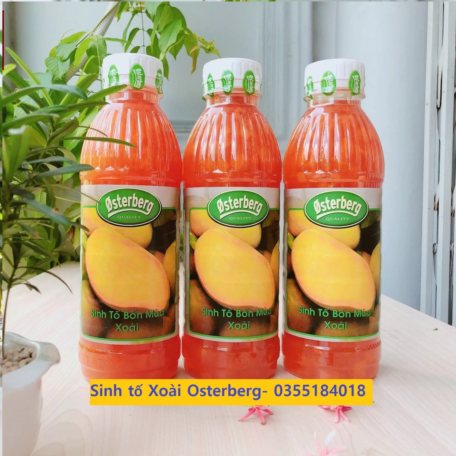 Sinh tố Xoài Osterberg chai 1L